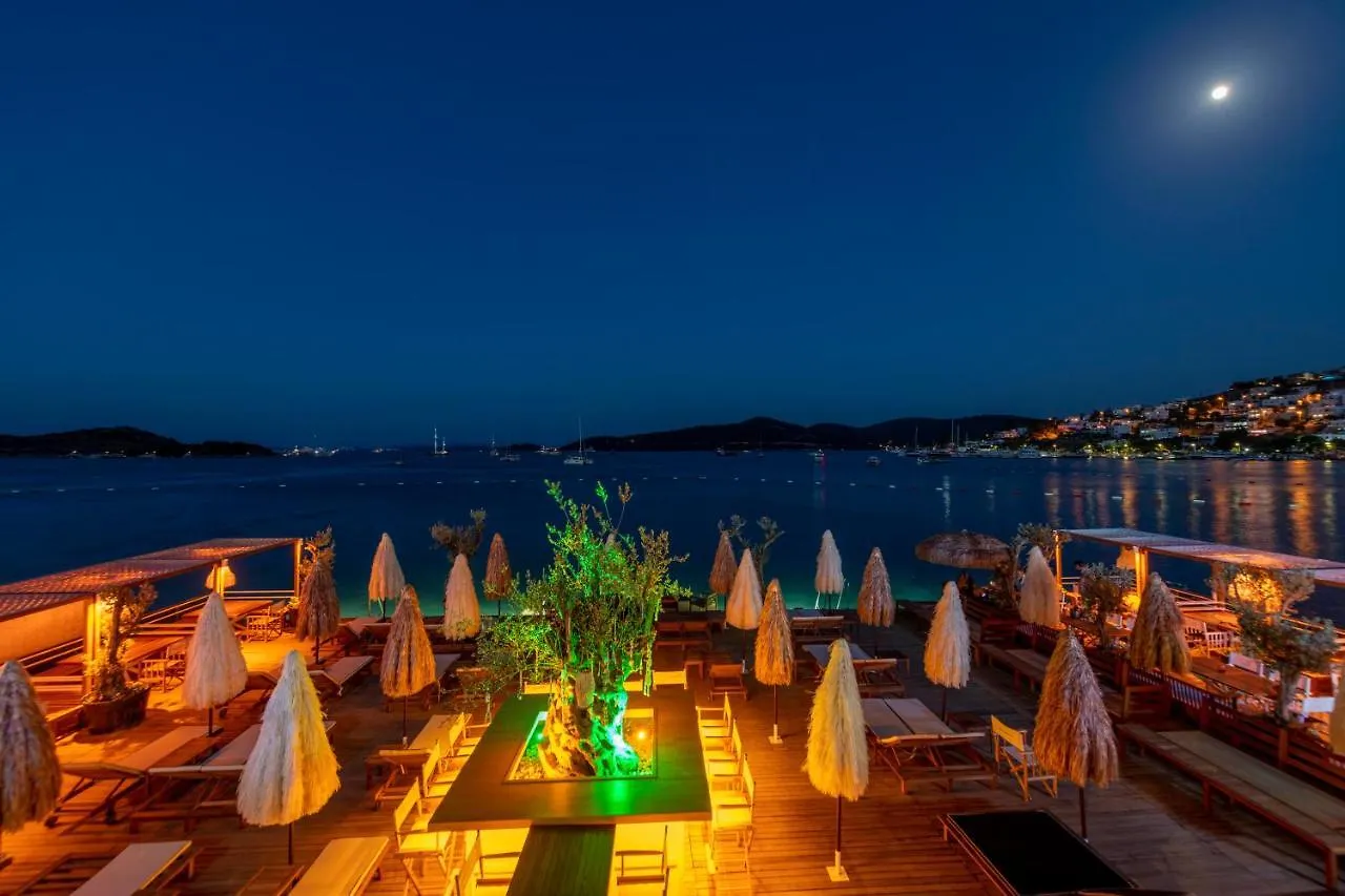 Borsa Rooms & Villas contacts